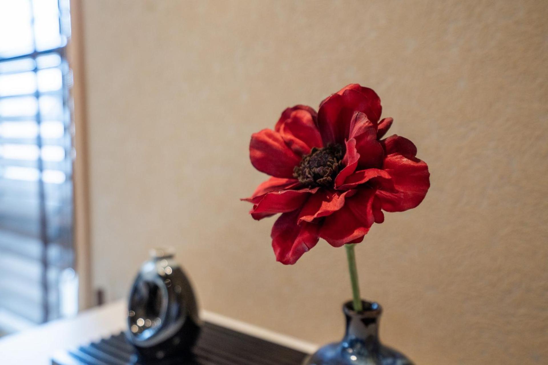 Livegrace Asakusa - Asakusa Sumida River Apartamento *